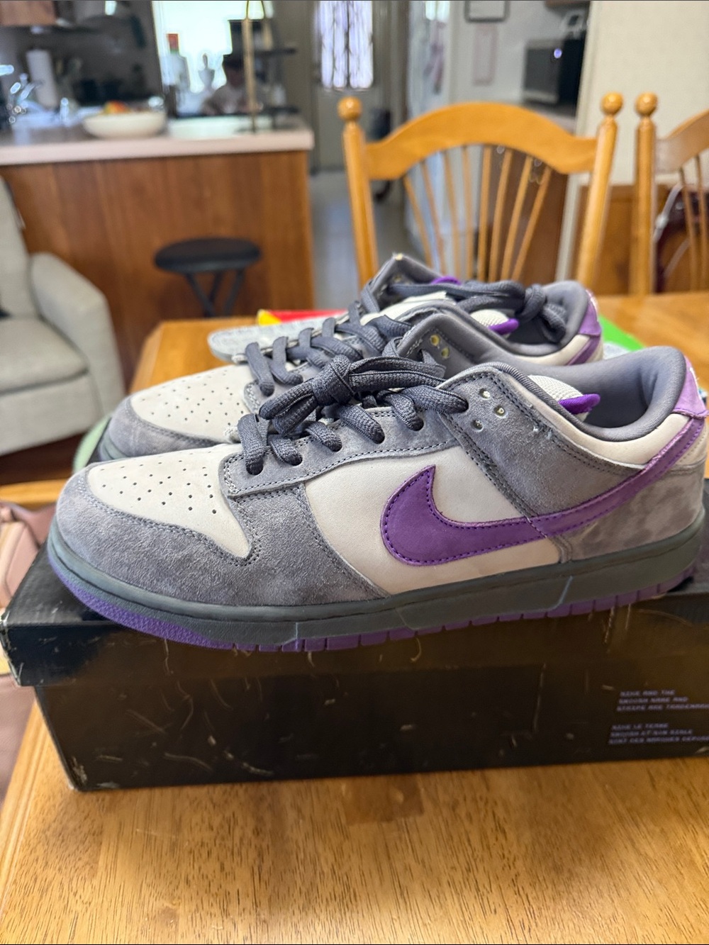 Sb dunk purple pigeon